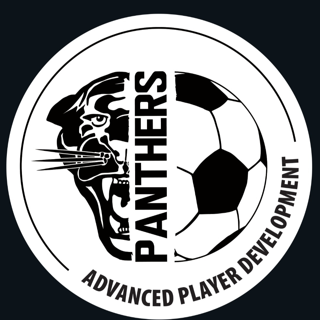 PANTHERS FOOTBALL ACADEMY logo